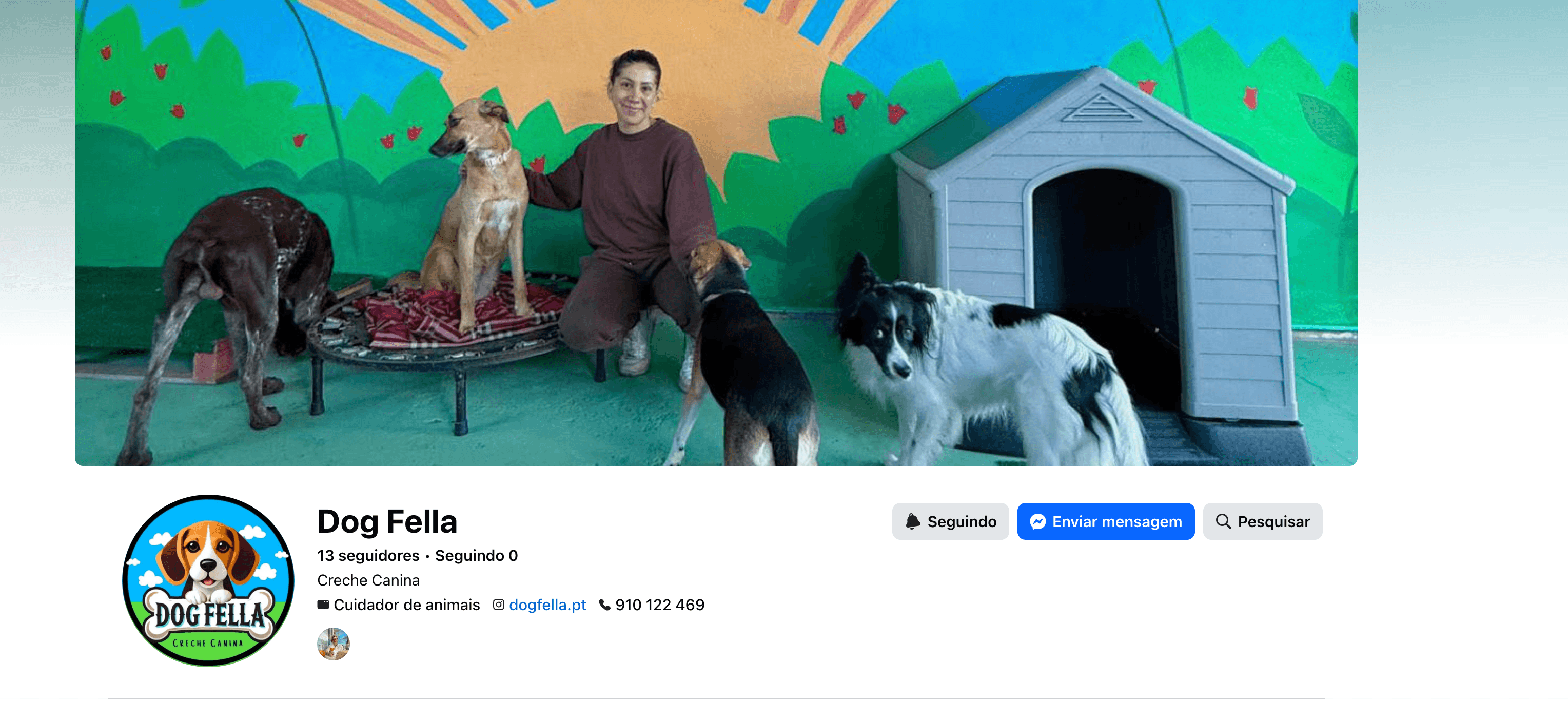 Dog Fella - Creche Canina em Santo Tirso
